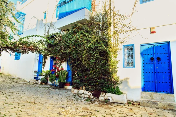 白蓝色城市布说, 突尼斯. — 图库照片