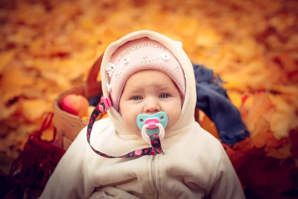 Little attractive baby playing in autumn park. — Stock Photo, Image