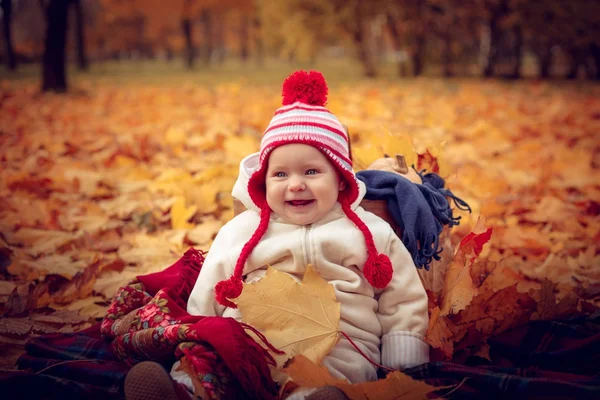 Petit bébé attrayant jouant dans le parc d'automne . — Photo