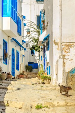 Beyaz-mavi şehir, Sidi Bou Said, Tunus. 