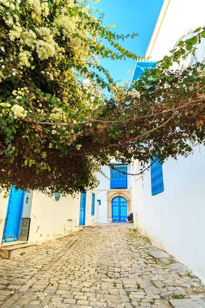 Weiß-blaue Stadt sidi bou sagte, Tunesien. — Stockfoto