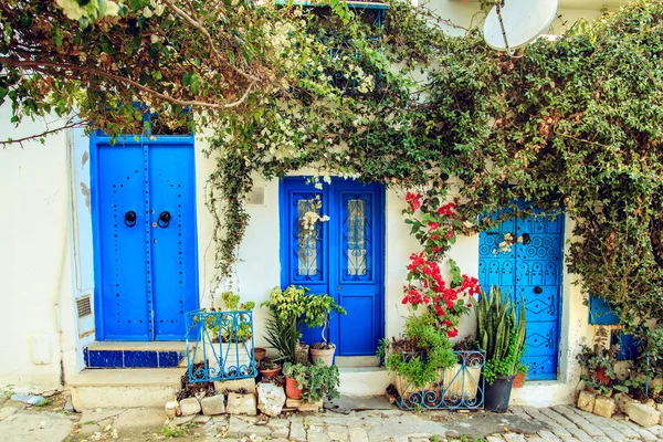 Sidi Bou Said geleneksel mavi kapı.