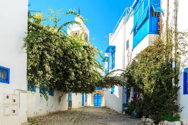 Cidade azul-branca de Sidi Bou Said, Tunísia . — Fotografia de Stock