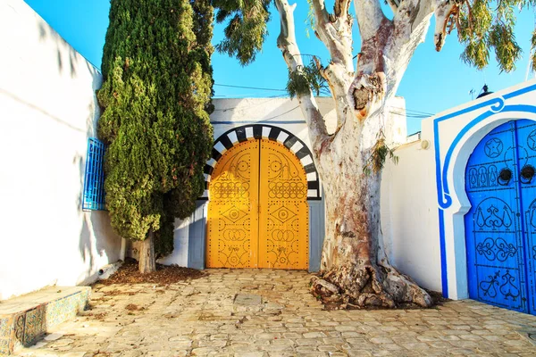 Porte blu tradizionali a Sidi Bou Said . — Foto Stock