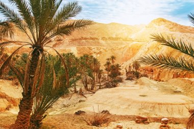 Dağ Oasis Chebika doğal görünümü. 