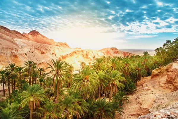 Dağ Oasis Chebika doğal görünümü. 