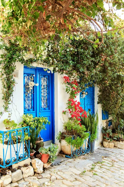 Portas azuis tradicionais em Sidi Bou Said . — Fotografia de Stock