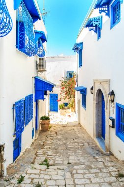 Beyaz-mavi şehir, Sidi Bou Said, Tunus. 