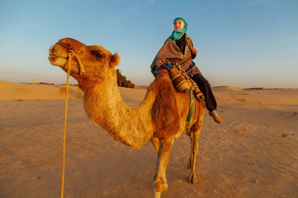 Sahara Çölü'nde bir deve sürme kadın. — Stok fotoğraf