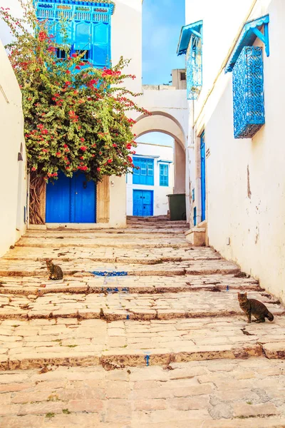 Città bianco-blu di Sidi Bou Said, Tunisia . — Foto Stock