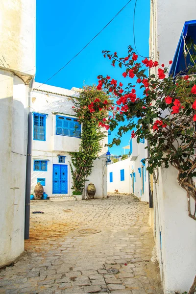 Cidade azul-branca de Sidi Bou Said, Tunísia . — Fotografia de Stock