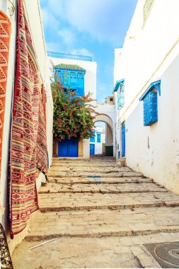 Beyaz-mavi şehir, Sidi Bou Said, Tunus.