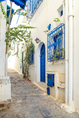 Beyaz-mavi şehir, Sidi Bou Said, Tunus. 
