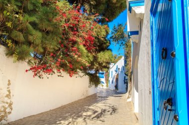 Beyaz-mavi şehir, Sidi Bou Said, Tunus. 