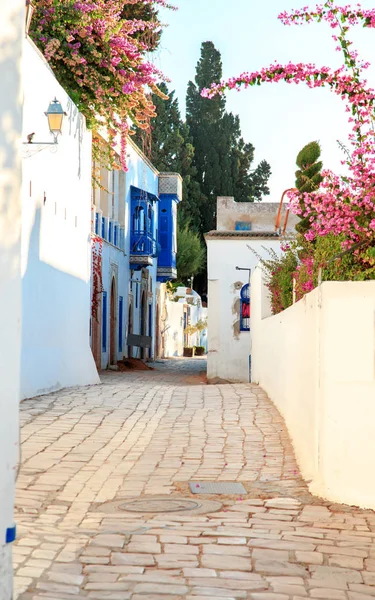 Fehér-kék város Sidi Bou Said, Tunézia. — Stock Fotó