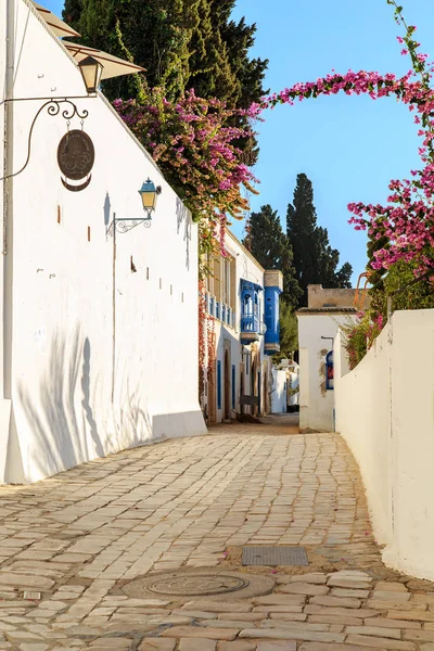 Fehér-kék város Sidi Bou Said, Tunézia. — Stock Fotó