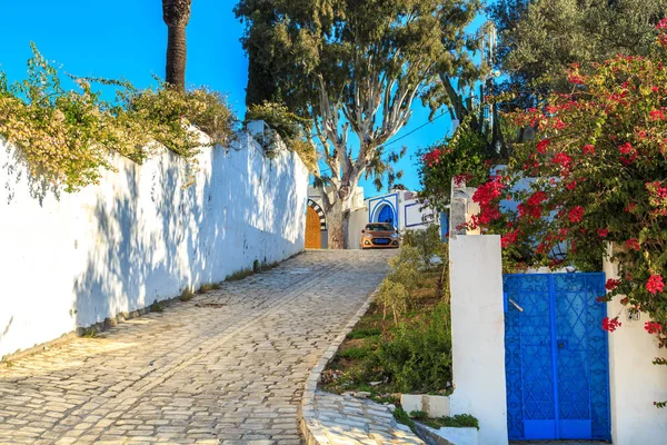 Weiß-blaue Stadt sidi bou sagte, Tunesien. — Stockfoto