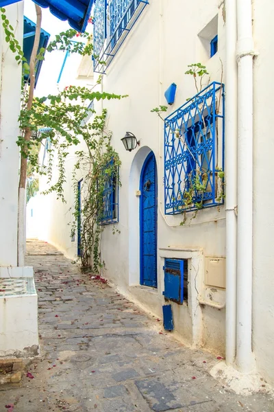 Weiß-blaue Stadt sidi bou sagte, Tunesien. — Stockfoto