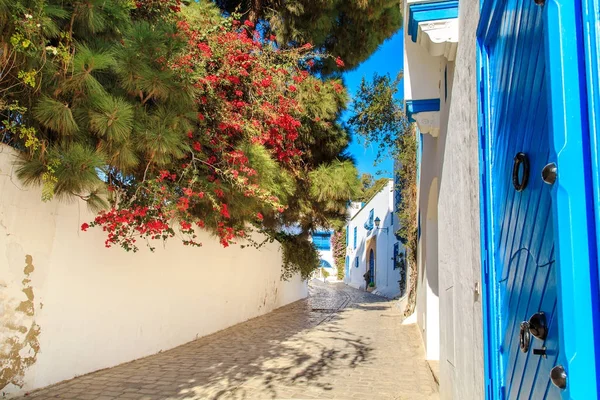 Cidade azul-branca de Sidi Bou Said, Tunísia . — Fotografia de Stock