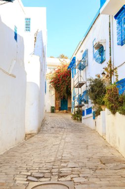 Beyaz-mavi şehir, Sidi Bou Said, Tunus. 