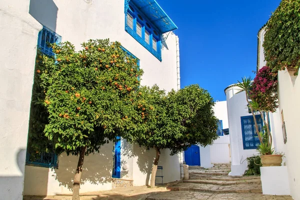 Città bianco-blu di Sidi Bou Said, Tunisia . — Foto Stock