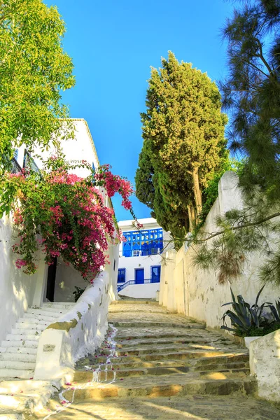 Fehér-kék város Sidi Bou Said, Tunézia. — Stock Fotó