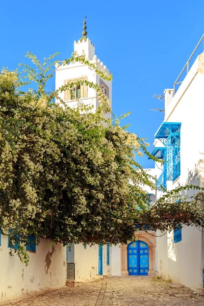 Mecset, a fehér-kék város Sidi Bou Said, Tunézia. — Stock Fotó