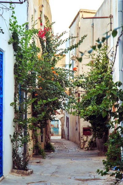 Medina di Tunisia. Città vecchia . — Foto Stock