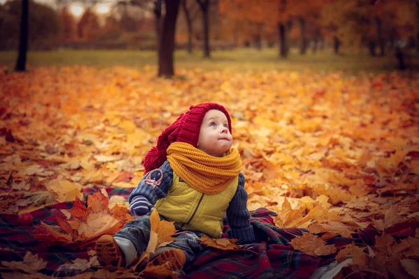 Kis vonzó baba játék: őszi parkban. — Stock Fotó