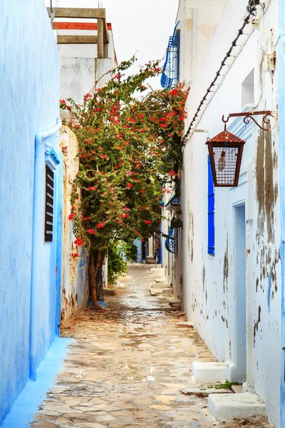 Medina di Hammamet. Città vecchia . — Foto Stock