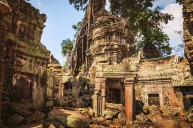 Ta Prohm Tapınağı - bir sembiyoz kökleri ve taşlar. 