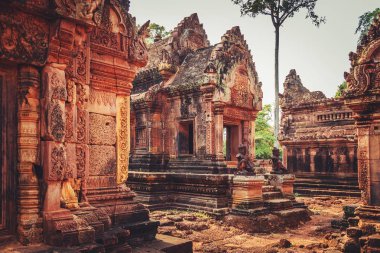 Banteay Srey - pembe kumtaşı benzersiz Tapınağı.