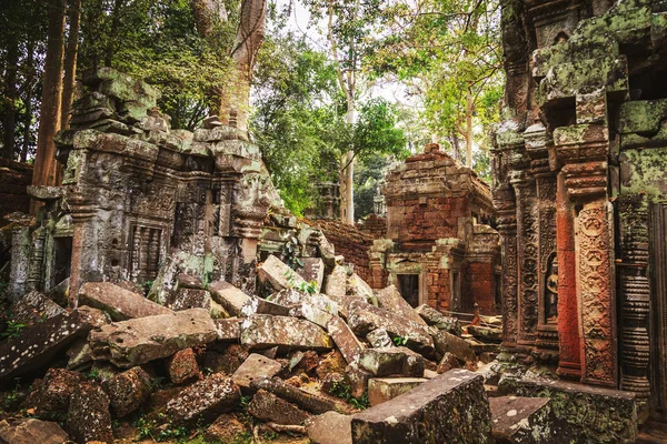 Ta prohm Tempel - eine Symbiose aus Wurzeln und Steinen. — Stockfoto