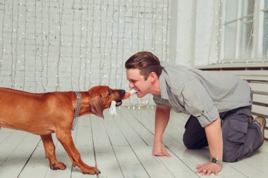 Genç mutlu adam onun köpek yavrusu ile oynuyor. 