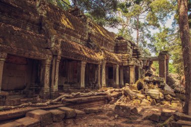 Ta Prohm Tapınağı - bir sembiyoz kökleri ve taşlar. 