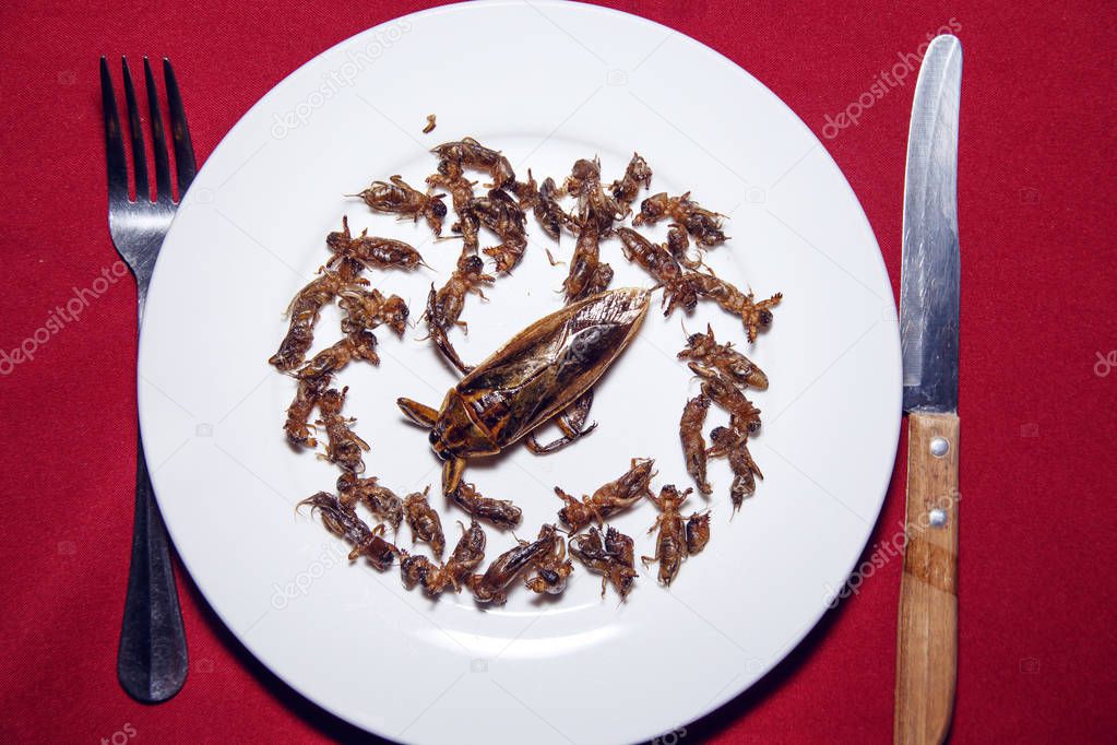 Fried insects on a plate - street snacks. 