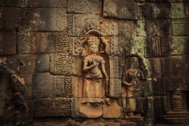 Ta Prohm Tapınağı - bir sembiyoz kökleri ve taşlar. 