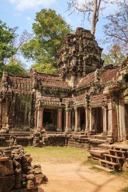 Ta Prohm Tapınağı - bir sembiyoz kökleri ve taşlar. 