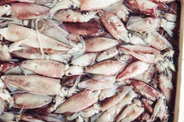 Calamario fresco crudo en el mercado del pescado . — Foto de Stock