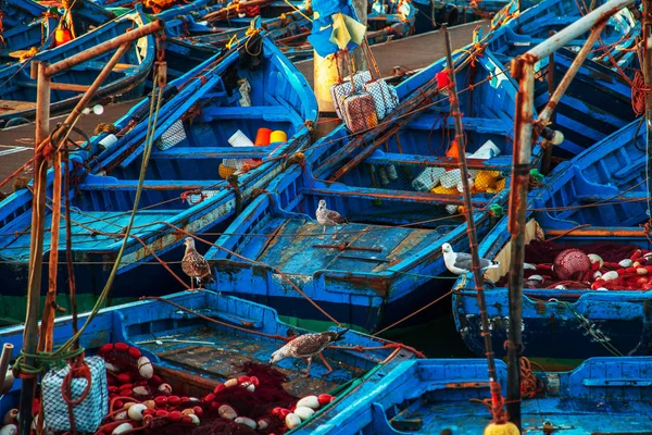 Os famosos barcos azuis no porto de Essaouira . — Fotografia de Stock