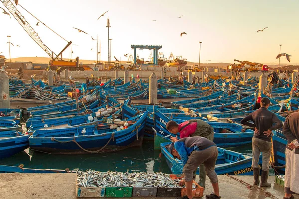 Manhã no porto de Essaouira . — Fotografia de Stock