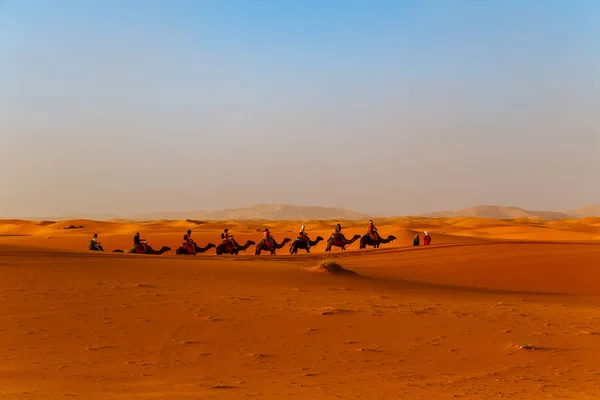 Sahra Çölü Nde Gün Batımında Deve Kervanı Erg Chebbi Merzouga — Stok fotoğraf