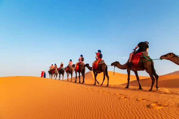 Velbloudí Karavana Při Západu Slunce Poušti Sahara Erg Chebbi Merzouga — Stock fotografie