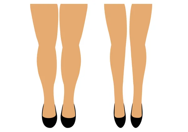 Women's benen twee paren van dun en volledige vectorillustratie — Stockvector