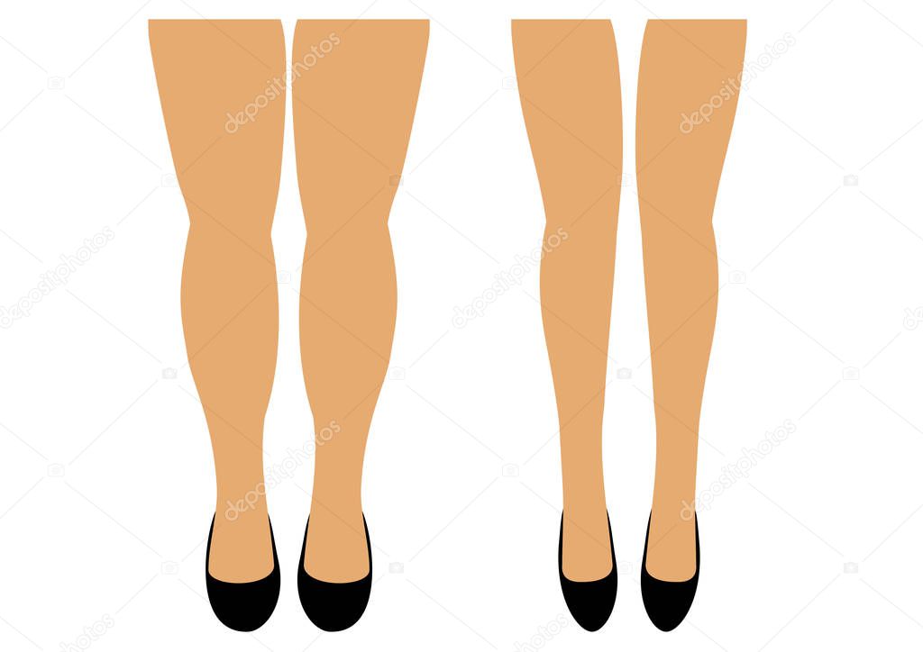 Women's legs two pairs of thin and full vector illustration