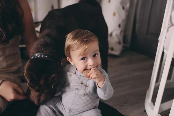 Söt baby pojke äta kakor och spela hemma, hund frågar några sötsaker. Uppriktig captute i verkliga livet inre — Stockfoto