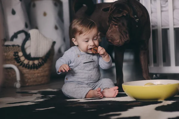 Söt baby pojke äta kakor och spela hemma, hund frågar några sötsaker. Uppriktig captute i verkliga livet inre — Stockfoto