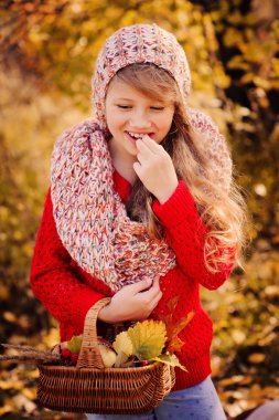 mutlu çocuk kız örgü atkı ve kazak sepeti sonbahar yürüyüş orman yeme elma ile. Sonbaharda hasat, rahat ruh hali.