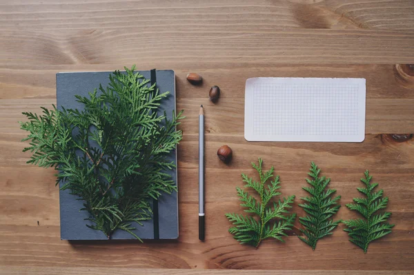 Vista superior de cuaderno y ramas de pino con taza de té con limones —  Fotos de Stock