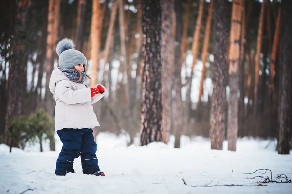 Carino felice bambina a piedi nella foresta invernale — Foto Stock